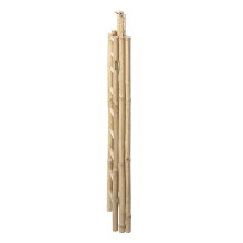 Regal Bamboo natur